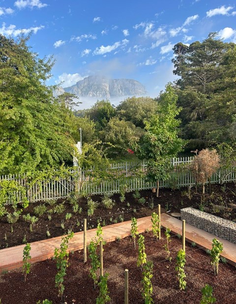 Fcfebb63 D496 40Ca 8F17 D4ad241f42e1