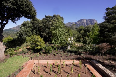 Garden 1JPG